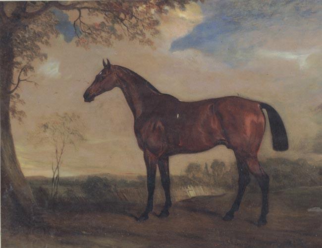 John Ferneley Portrait of a Hunter Mare,The Property of Robert shafto of whitworth park,durham China oil painting art